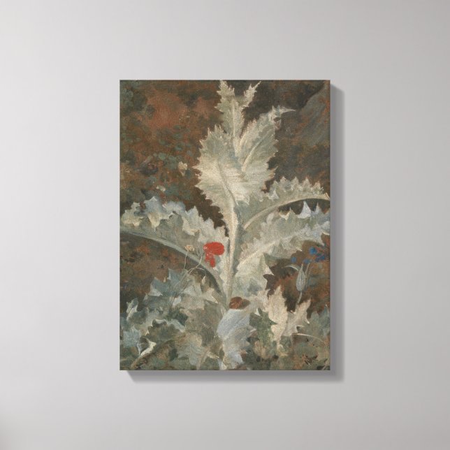 Thistle (von John Crome) Leinwanddruck (Vorderseite)