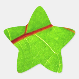 Thomas 1 Stern-Aufkleber