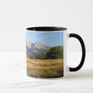 Thomas A. Moulton Barn Tasse