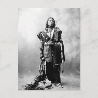 Thomas American Horse Postkarte