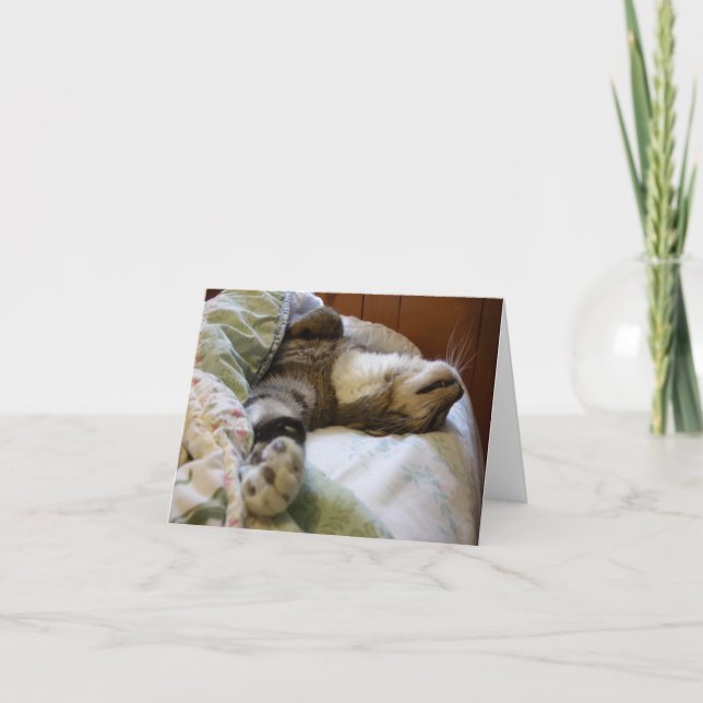 Thomas entspannendes notecard karte (Vorderseite)