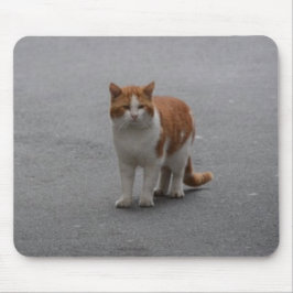 Thomas Ginger und White Cat Mousepad