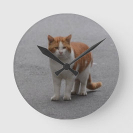 Thomas Ginger und White Cat Runde Wanduhr