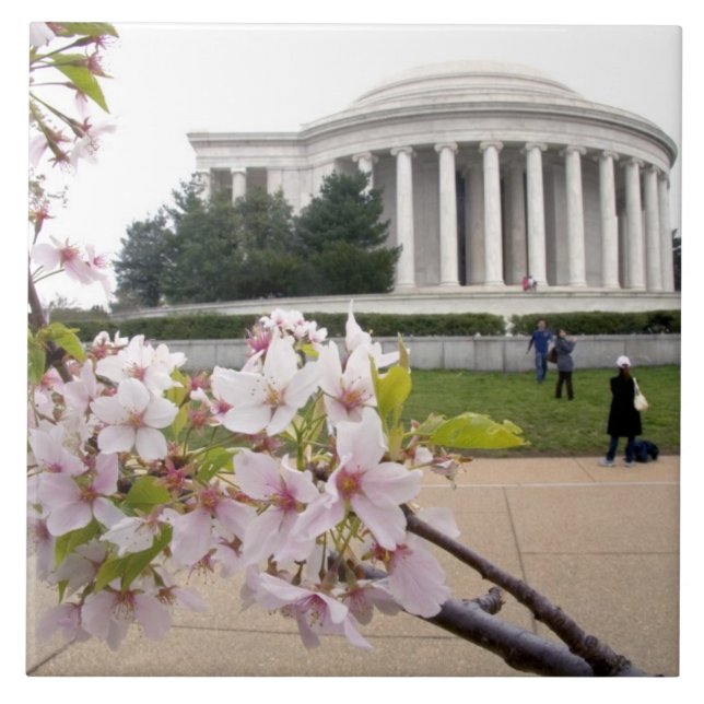 Thomas- Jeffersondenkmal mit Kirschblüten Fliese (Vorderseite)