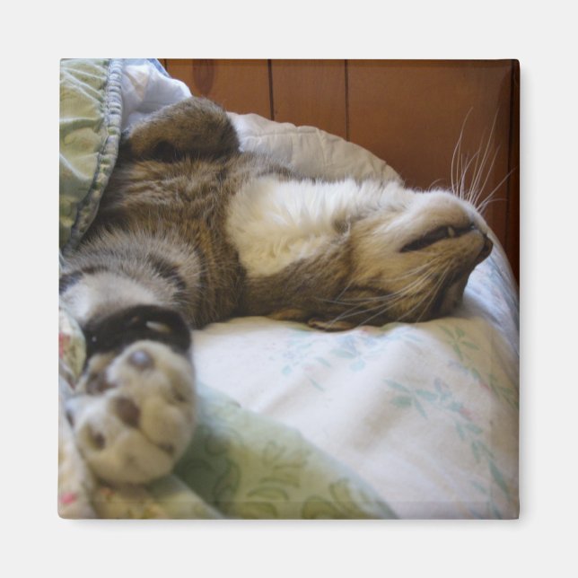 Thomas Relaxmagnet Magnet (Vorne)