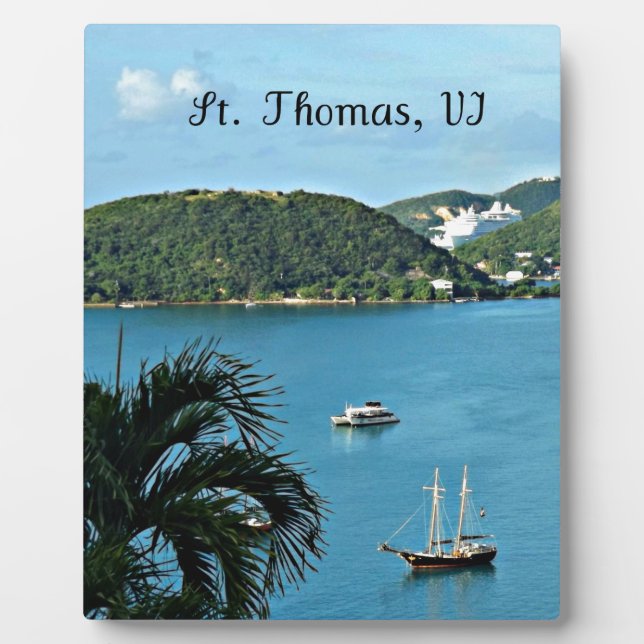 Thomas, VI Fotoplatte (Vorderseite)