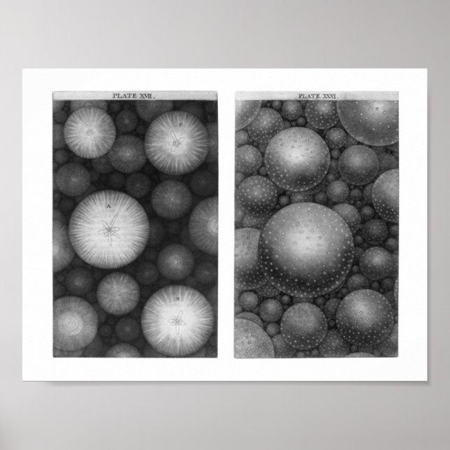 Thomas Wright's Universe Poster (Vorne)