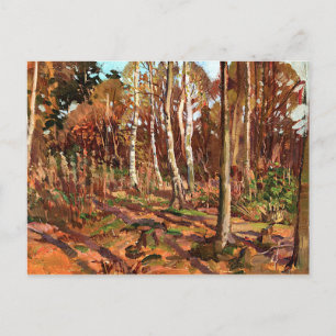 Thomson - Blick auf den Algonquin Park Postkarte