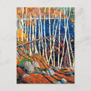 Thomson - im Norden Postkarte