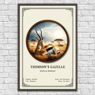 Thomsons Gazelle Zoologie-Serie Poster