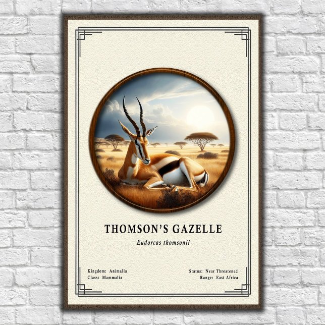 Thomsons Gazelle Zoologie-Serie Poster (Von Creator hochgeladen)