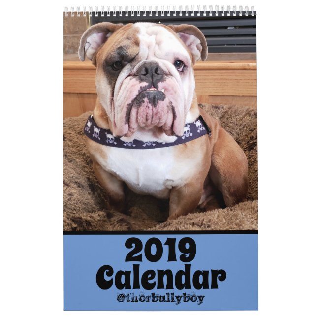 Thor der Kalender der Bulldoggen-2019 (Titelbild)