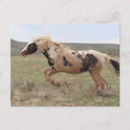 Thor McCullough Peaks Postkarte