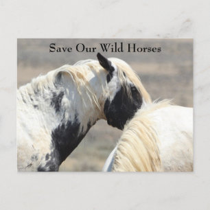 Thor McCullough Peaks Wild Horse Postcard Postkarte