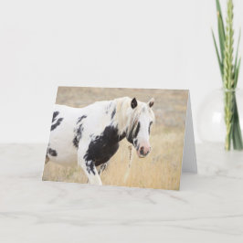 Thor of McCullough Peaks Grußkarte Dankeskarte