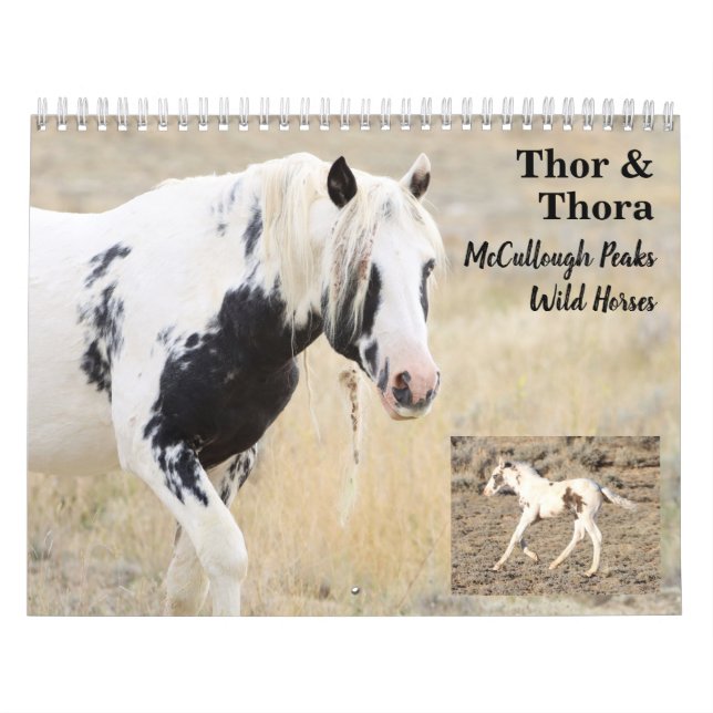 Thor & Thora bei McCullough Peaks Wilde Pferde Kalender (Titelbild)