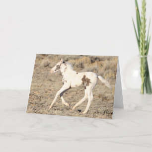 Thora of McCullough Peaks Dankeskarte