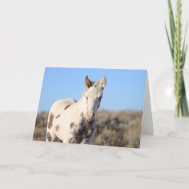 Thora of McCullough Peaks Dankeskarte