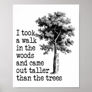 Thoreau Bäume Zitat Natur - Gehen Sie in den Wälde Poster