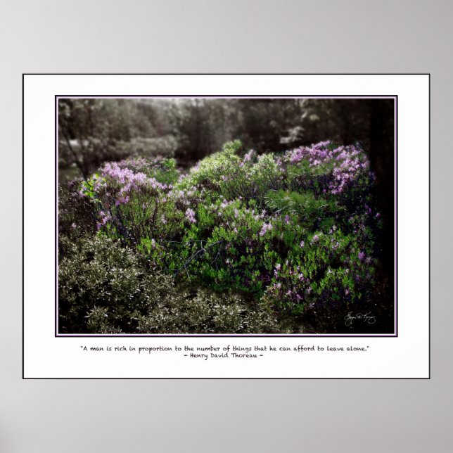 Thoreau Quote Poster - Sheep Laurel (Vorne)