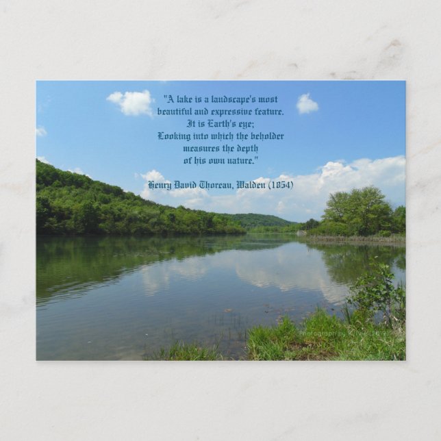 Thoreau Walden Lake Quote Postkarte (Vorderseite)