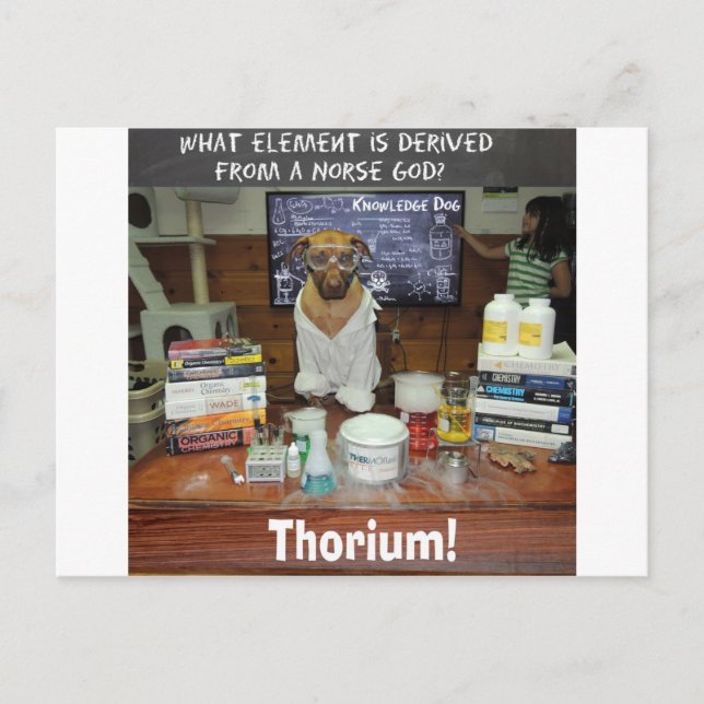 Thorium Thor God of Thunder Knowledge Dog Postkarte (Vorderseite)
