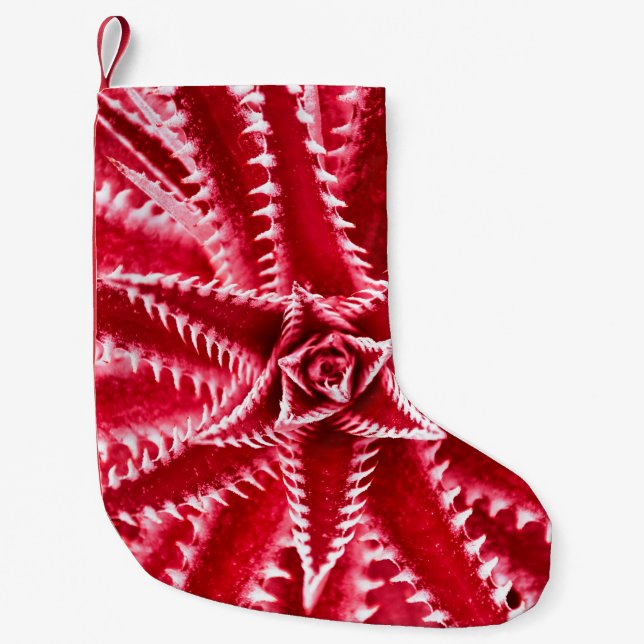 THORN CACTUS, NATURAL PATTERN, ABSTRACT KLEINER WEIHNACHTSSTRUMPF (Vorderseite)