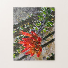 Thorns & Fire Blossoms Puzzle, 11" x 14", 252 pcs Puzzle