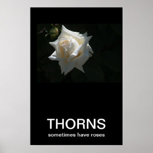 Thorns haben manchmal Rose Demotivationspopster Poster