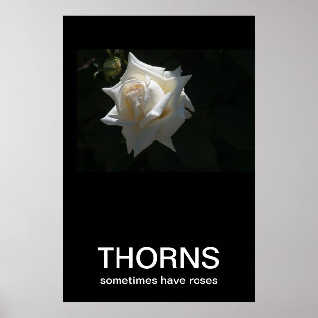 Thorns haben manchmal Rose Demotivationspopster Poster (Vorne)