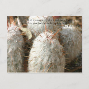 Thorns Postkarte