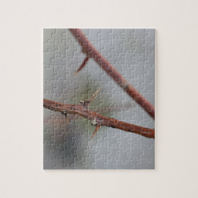 Thorns Puzzle (Vertikal)