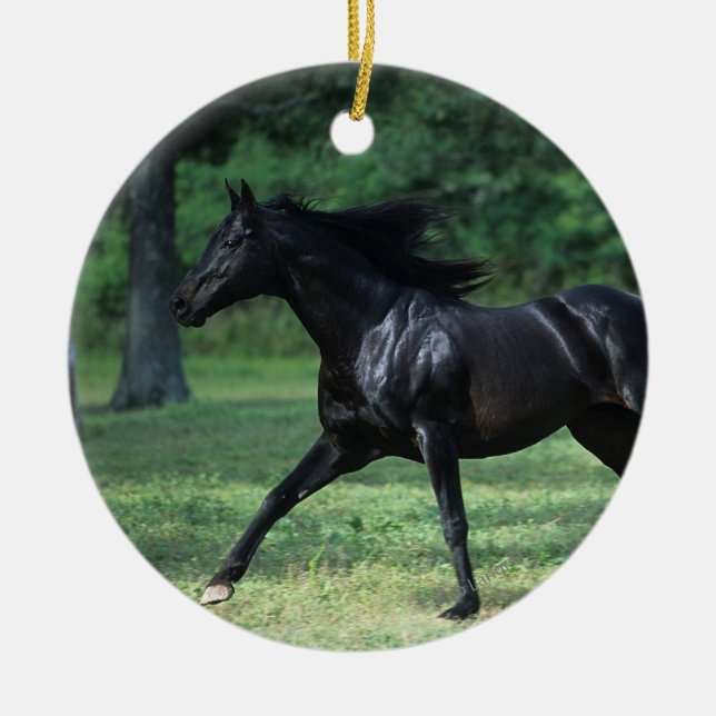 Thoroughbred-Betrieb Keramik Ornament (Vorne)