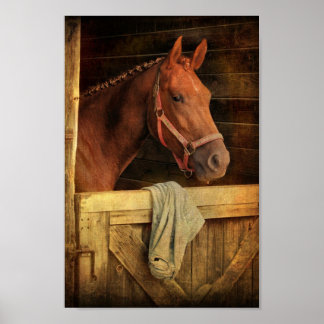 Thoroughbred Horse Poster