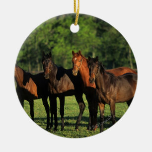 Thoroughbred-Jährlinge Keramik Ornament