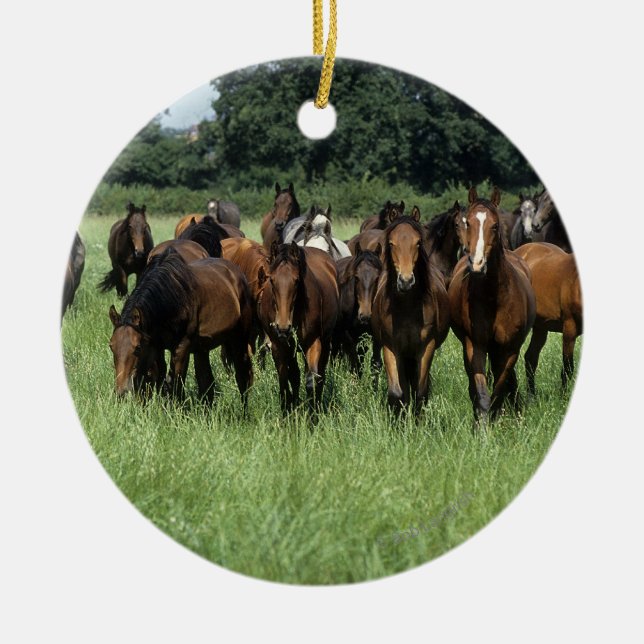 Thoroughbred-Knaben Keramik Ornament (Vorne)