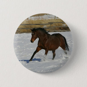 Thoroughbred-Pferd, das in den Schnee läuft Button
