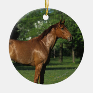 Thoroughbred-Pferd in den Blumen Keramik Ornament