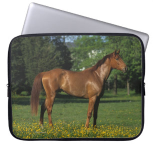 Thoroughbred-Pferd in den Blumen Laptopschutzhülle
