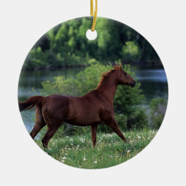 Thoroughbred-Pferd stehend in den Blumen Keramik Ornament (Vorne)