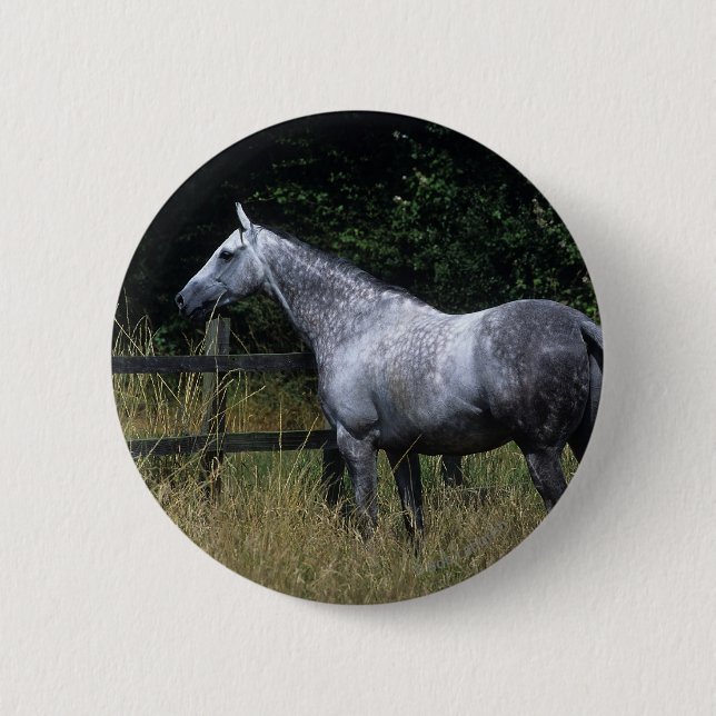 Thoroughbred-Pferdebereitstehender Zaun Button (Vorderseite)