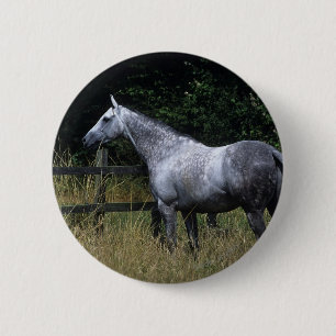 Thoroughbred-Pferdebereitstehender Zaun Button