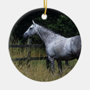 Thoroughbred-Pferdebereitstehender Zaun Keramik Ornament