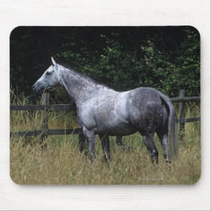 Thoroughbred-Pferdebereitstehender Zaun Mousepad