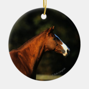 Thoroughbred-PferdeHeadshot Keramik Ornament