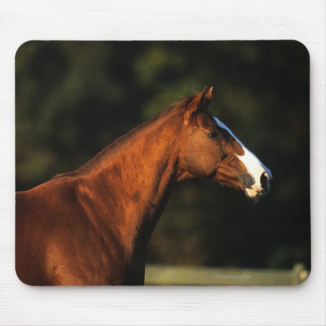 Thoroughbred-PferdeHeadshot Mousepad (Vorne)