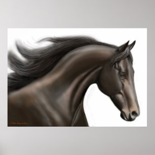 Thoroughbred-Pferdeplakat Poster
