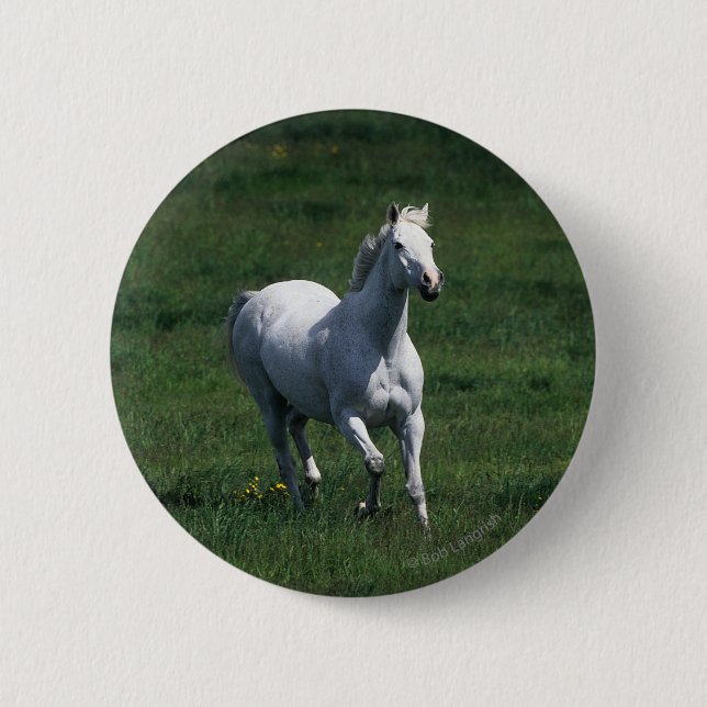 Thoroughbred-Stute Button (Vorderseite)