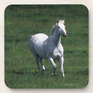 Thoroughbred-Stute Getränkeuntersetzer
