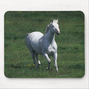 Thoroughbred-Stute Mousepad